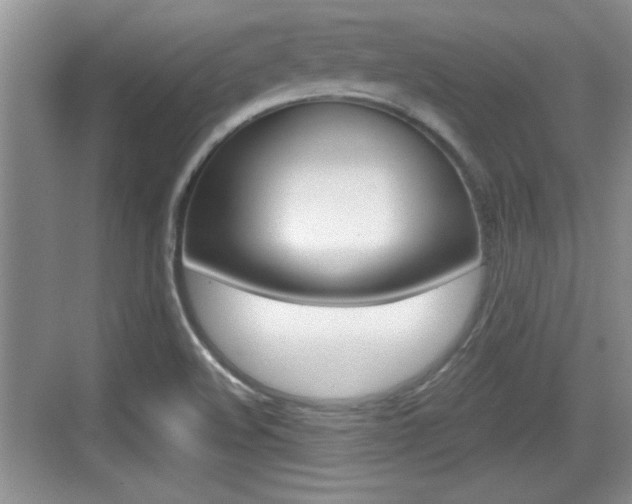 X0000076071508200609220940