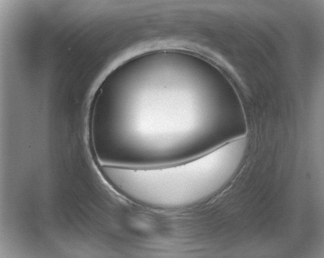 X0000076071512200609220940