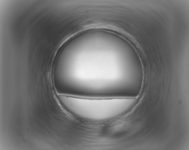 X0000076071513200609220940
