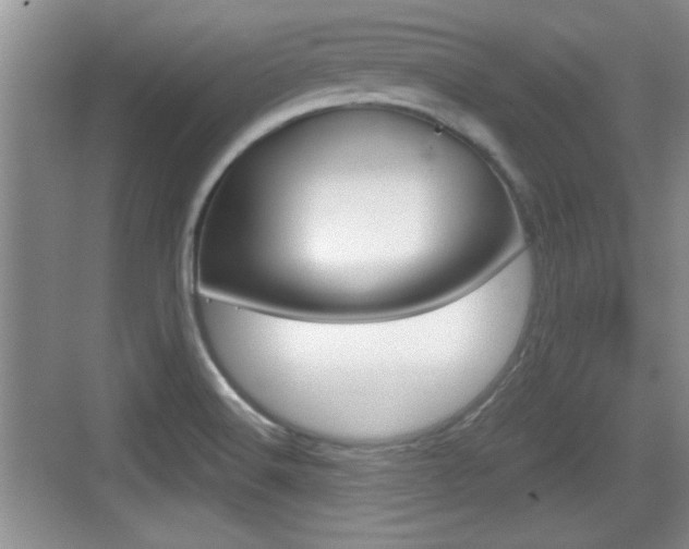 X0000076071516200609220940