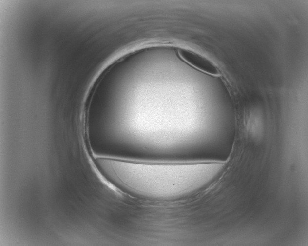 X0000076071519200609220940
