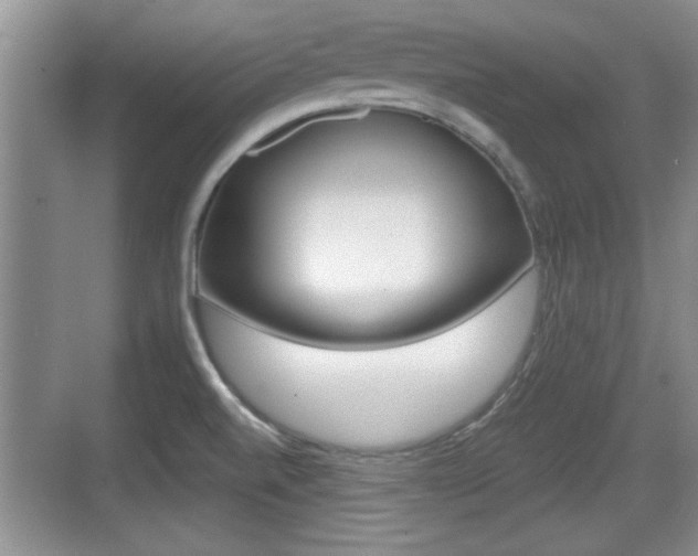 X0000076071520200609220940