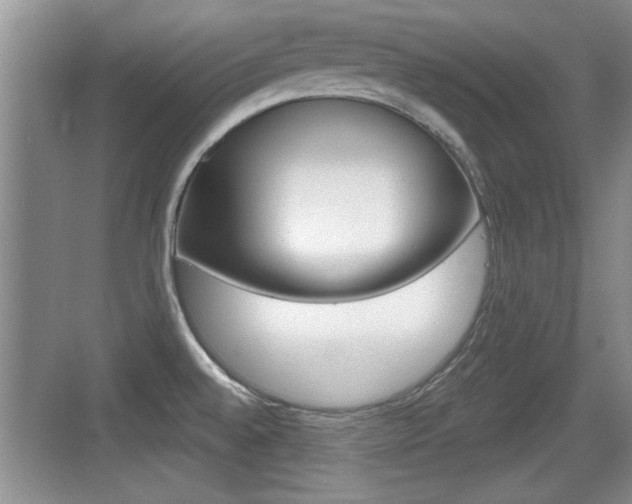 X0000076071528200609220940