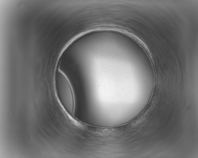 X0000076071533200609220940