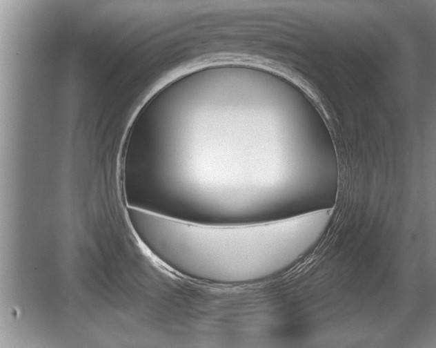 X0000076071535200609220940