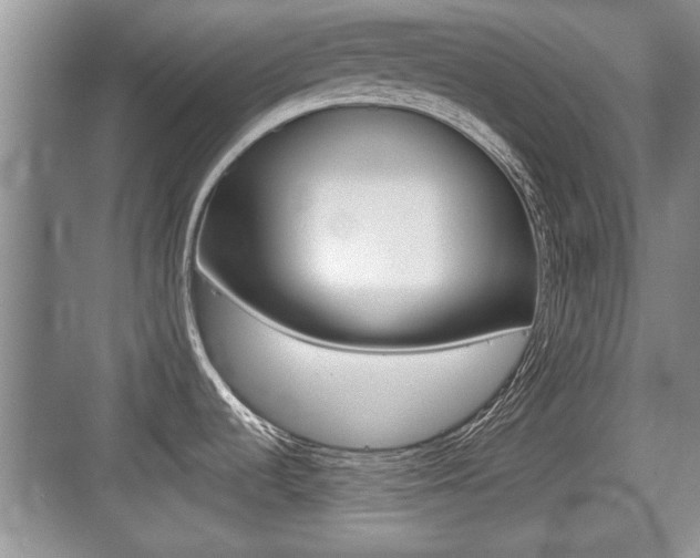X0000076071536200609220940