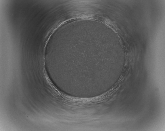 X0000076070002200609221208