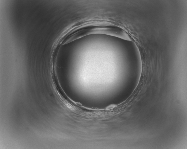 X0000076070005200609221208