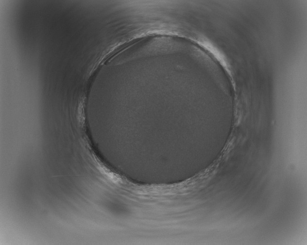 X0000076070009200609221208