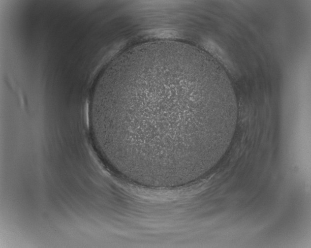 X0000076070014200609221208