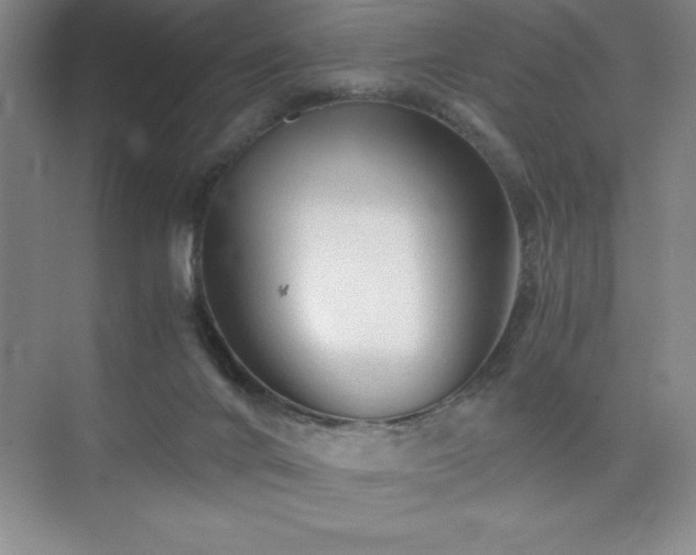 X0000076070024200609221208