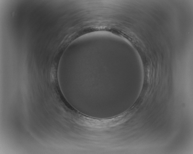 X0000076070035200609221208