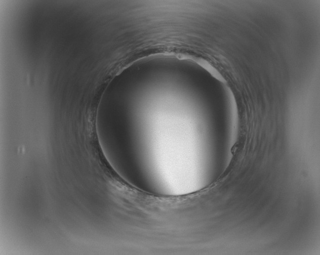 X0000076070037200609221208