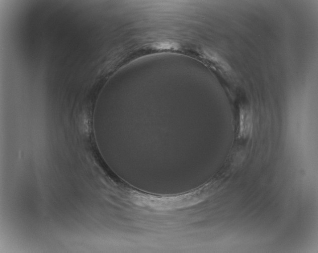 X0000076070039200609221208