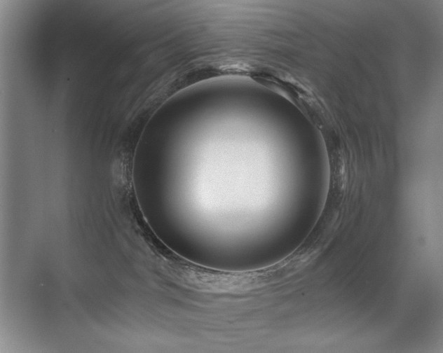 X0000076070044200609221208