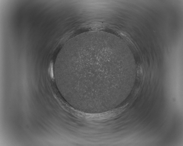 X0000076070046200609221208