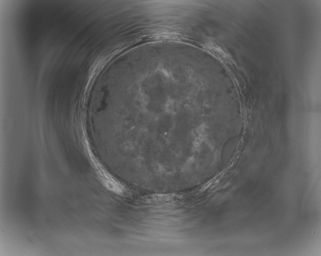 X0000076070049200609221207