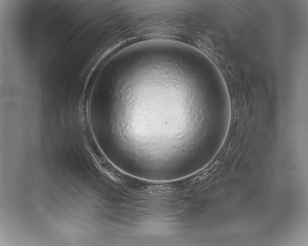 X0000076070050200609221207