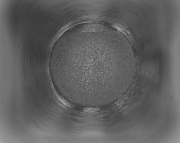 X0000076070051200609221207