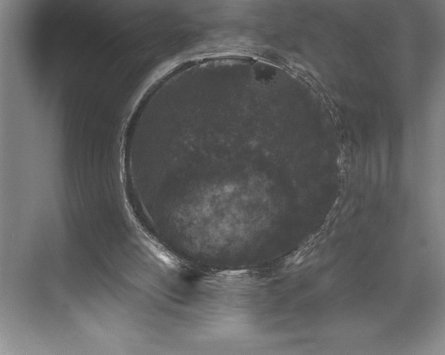 X0000076070054200609221207