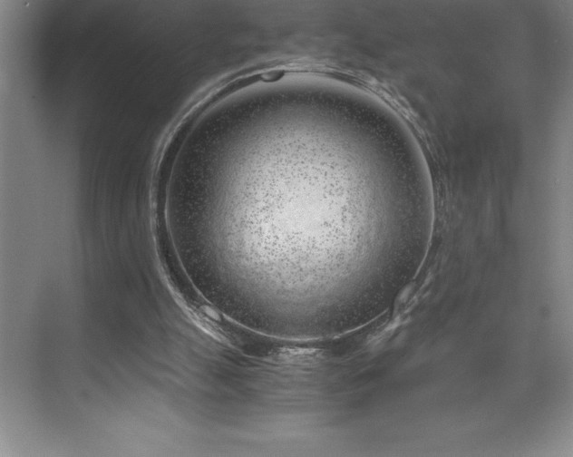 X0000076070055200609221207