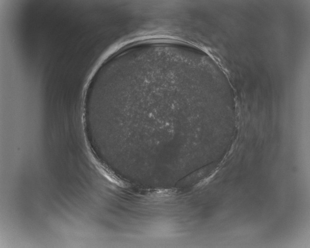 X0000076070056200609221207