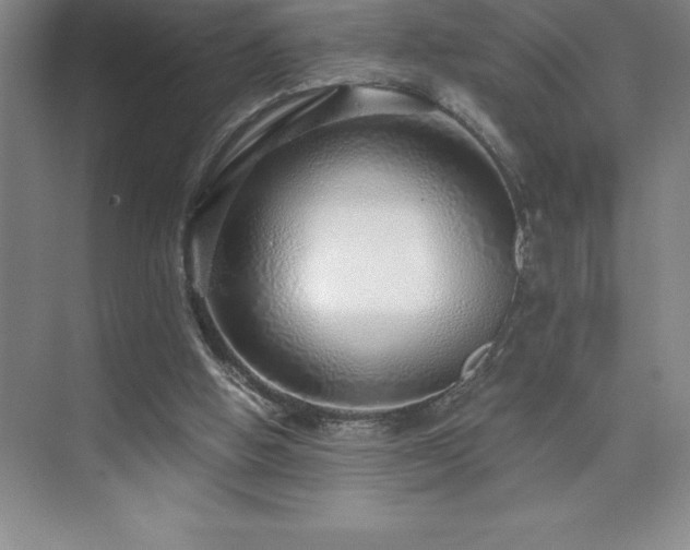 X0000076070058200609221207