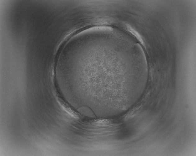 X0000076070059200609221207