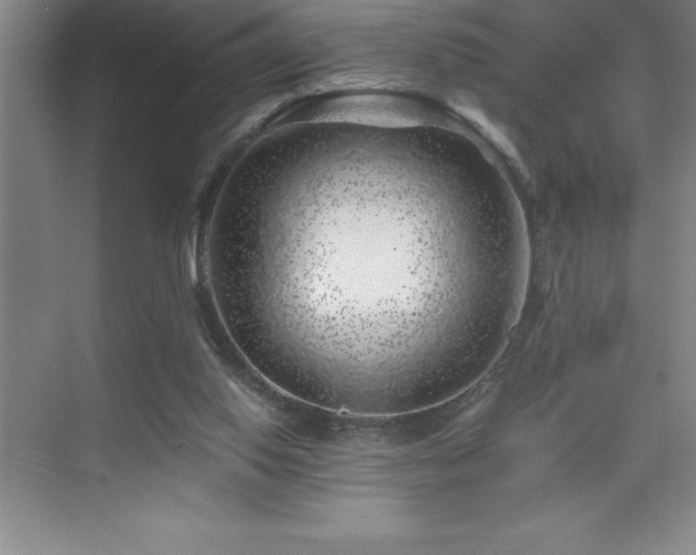 X0000076070062200609221207