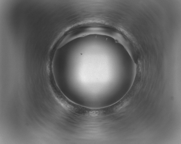 X0000076070064200609221207