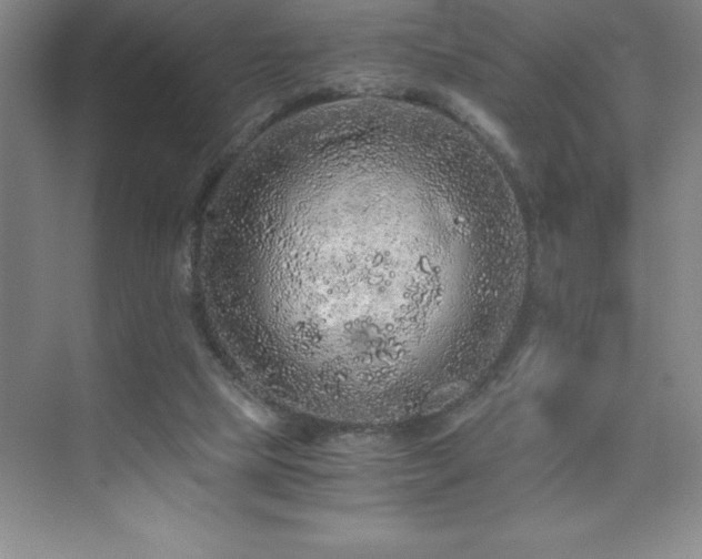 X0000076070065200609221207