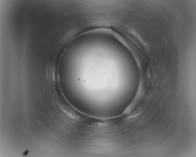 X0000076070068200609221207