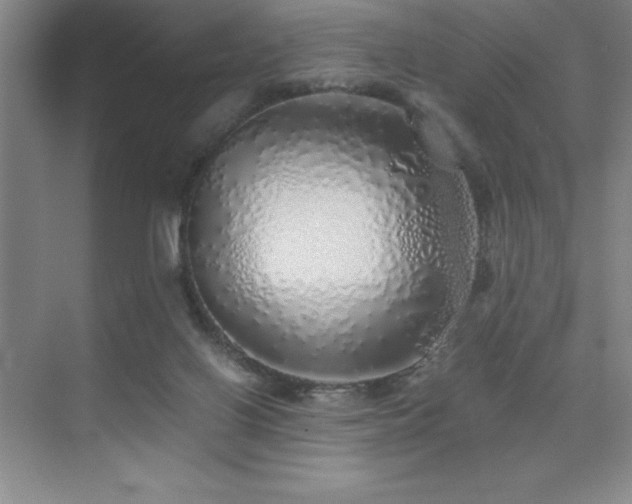 X0000076070070200609221207