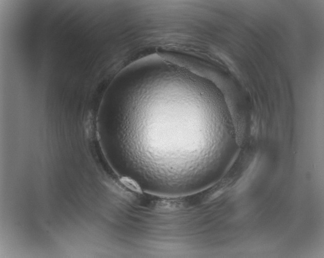 X0000076070077200609221207