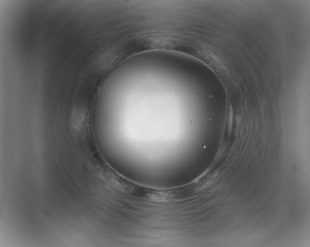 X0000076070079200609221207