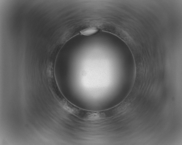 X0000076070083200609221207