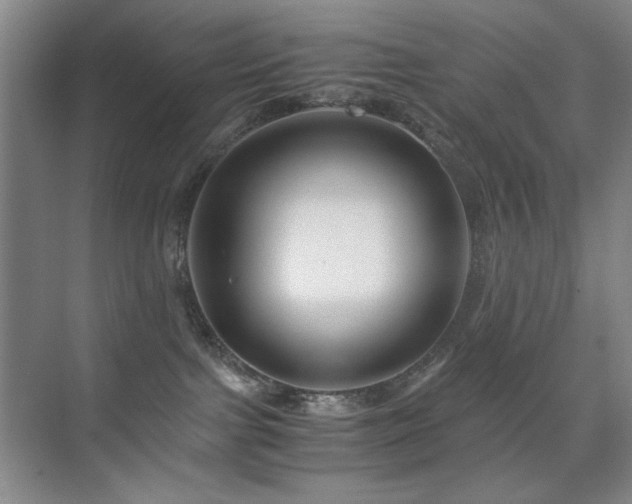 X0000076070091200609221208