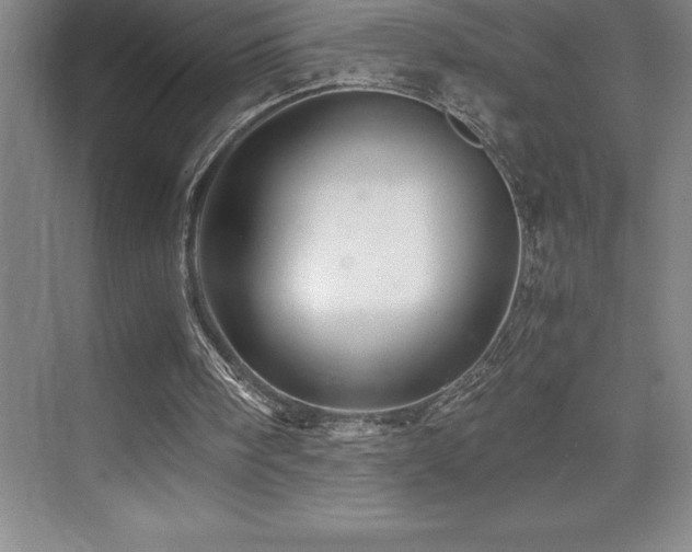 X0000076070098200609221207