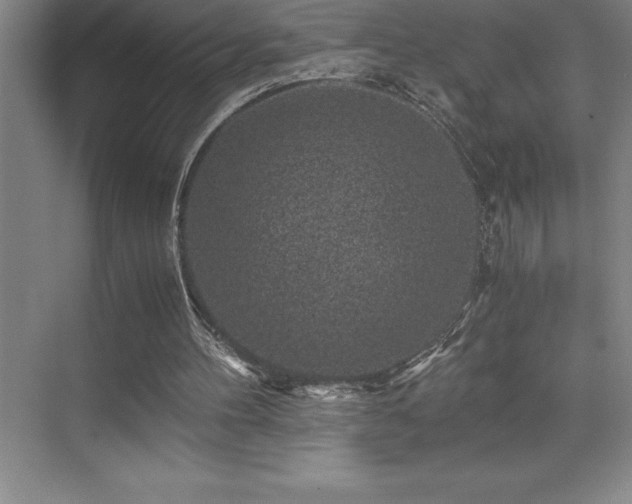 X0000076070100200609221207