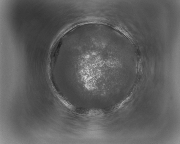 X0000076070101200609221207