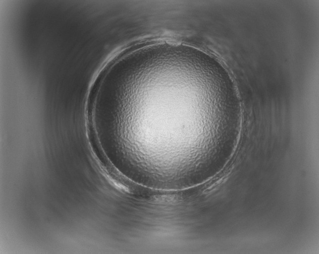 X0000076070102200609221207