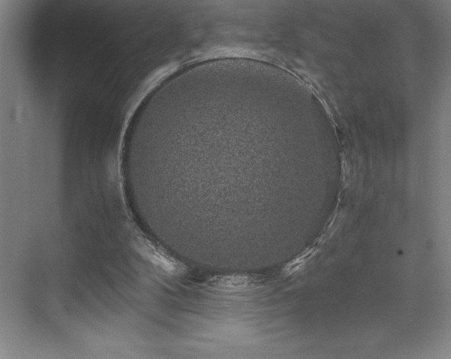 X0000076070104200609221207