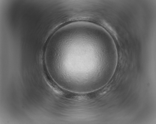 X0000076070107200609221207