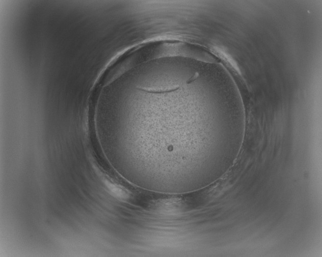 X0000076070108200609221207