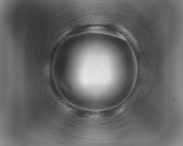 X0000076070113200609221207