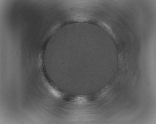 X0000076070114200609221207