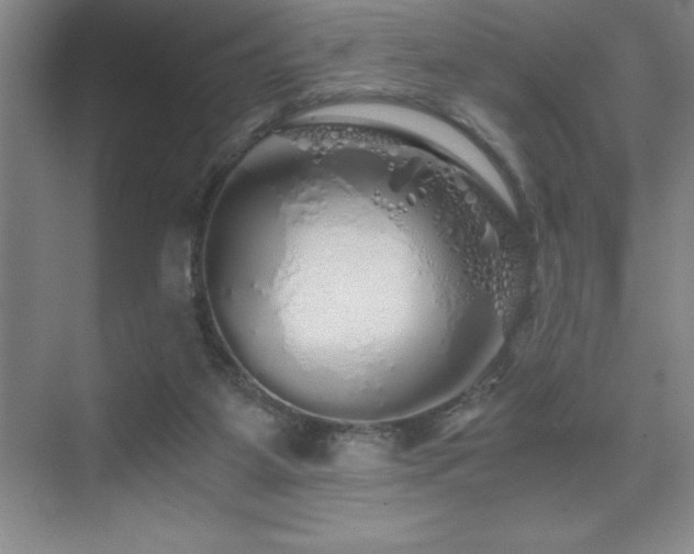 X0000076070115200609221207