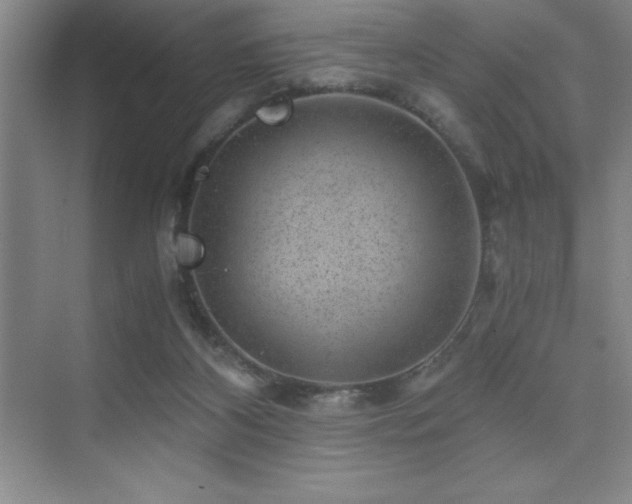 X0000076070116200609221206