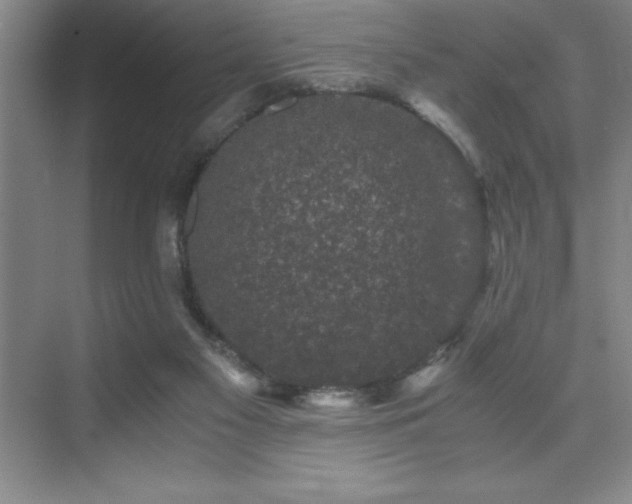 X0000076070117200609221206