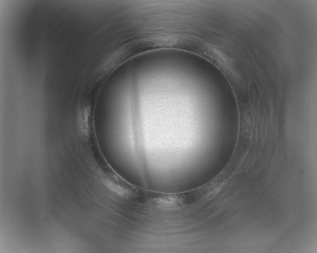 X0000076070118200609221206